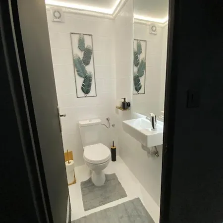 87m2 Block 24 Business Casual Apartment Belgrade